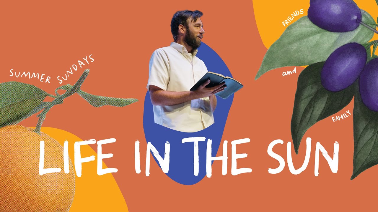 Life In The Sun